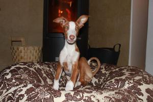 15496_4909812112318_238927901_n