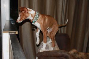 2009_4957017932434_811638088_n