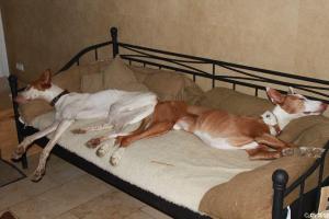 22494_4678722935233_1096142610_n