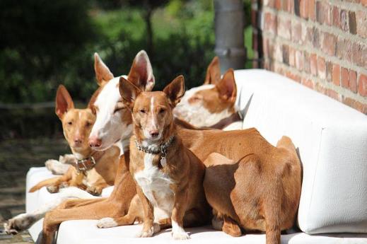 36502_3606460809350_1293405114_n