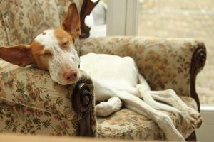 577219_4056753866395_486127726_n