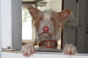 18577_1322684836378_6812159_n