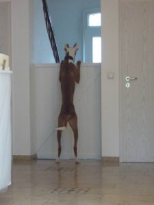 197415_1010696236858_9714_n