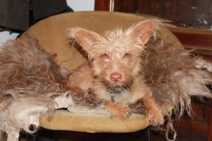 20672_1332766488413_455545_n