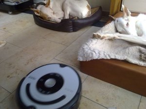 294026_2208312976528_3393176_n