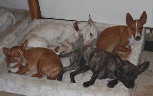 318581_2368690265860_1281503591_n