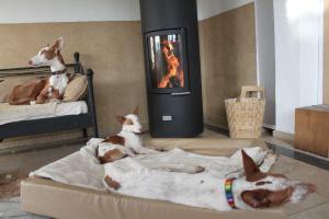 386224_2920069930007_1358644293_n