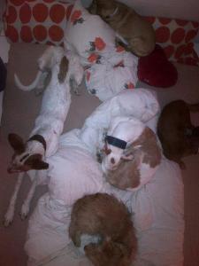 644379_10200671997031517_1552188158_n