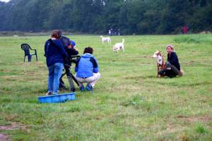 1271838_355771621221827_1648407801_o