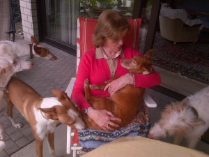 Arnsberg-20130519-02237