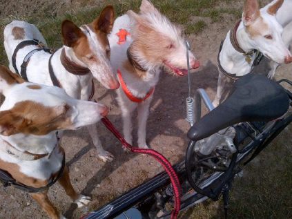 156519_10200710331189847_1104466220_n