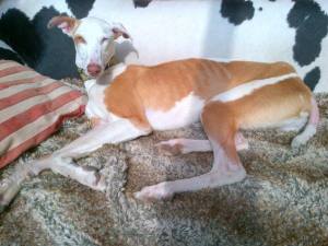 10176184_10203499719082801_7309307668404965896_n