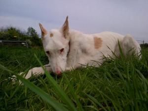 601844_10200824957735439_1341998334_n