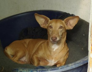 19377_1291754703144_1829575_n