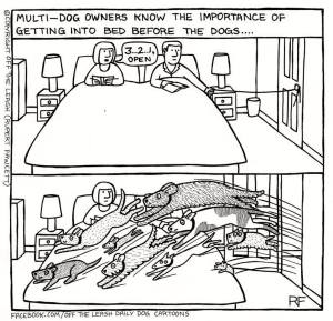 13590465_1045018768907660_4285435075884541181_n